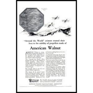 1924 American Walnut Lumber Wood Vintage Print Ad Biplane Airplanes Wall Art